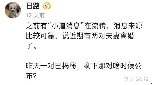 娱乐圈爆料说说搞笑文案,搞笑文案盘点，笑料百出，笑翻你的日常！  第1张