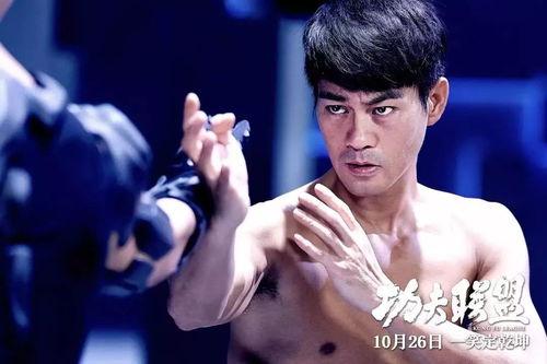 功夫联盟在线观看完整版,热血集结，巅峰对决  第2张